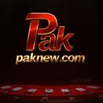 Pak New Game
